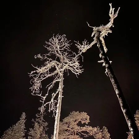 Lumia * 로바니에미