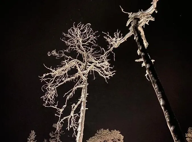 Lumia * ロヴァニエミ